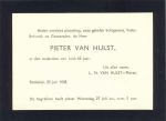 Hulst van Pieter 1 (262G).jpg